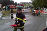 Bezirksleistungsbewerbe 2013 in Preitenegg (8)