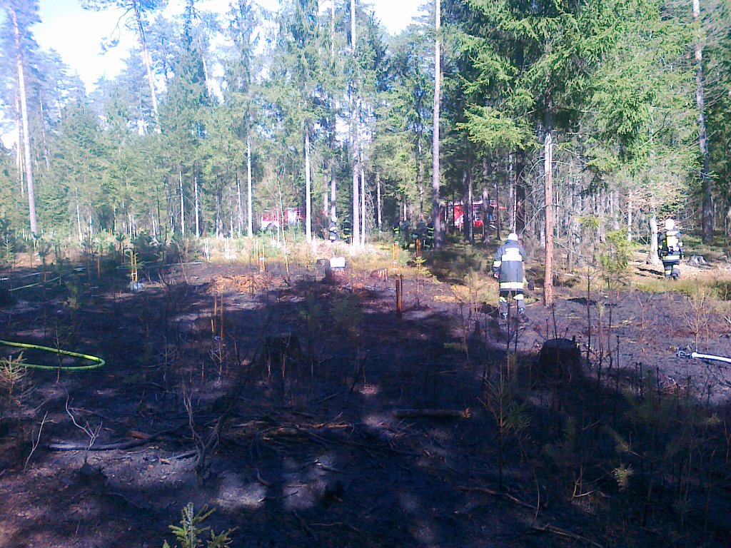 Waldbrand Neuhaus_2