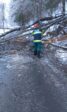 Schneebruch (31)