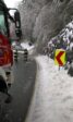 Schneebruch (5)