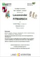 fitmarsch